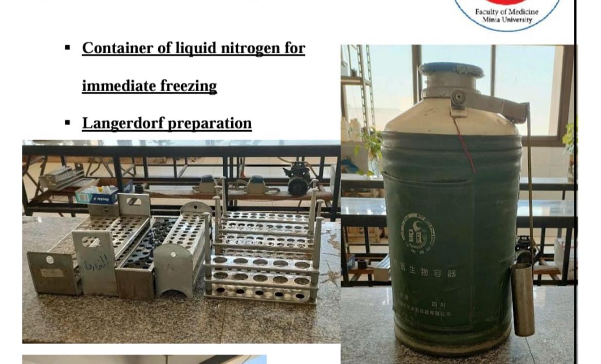 Liquid nitrogen tank